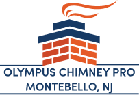Olympus Chimney Pro